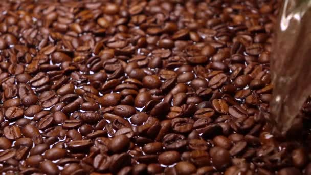 Verter agua en granos de café tostados, toma de cámara súper lenta — Vídeo de stock