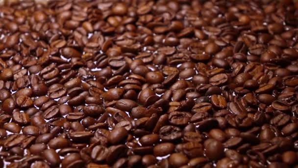 Roasted coffee beans floating in water, super slow motion shot — Stock Video