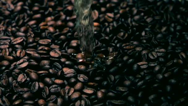 Super slow motion shot di versare acqua su chicchi di caffè tostati. Colori freddi — Video Stock