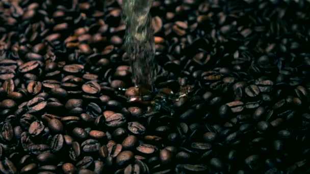 Super slow-motion shot van het stromende water op geroosterde koffiebonen. Koude kleuren — Stockvideo