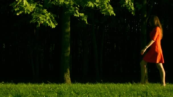 Schöne brünette Mädchen in rotem Kleid, das auf dem Gras im Park von rechts nach links geht, Profilansicht. Zeitlupenvideo — Stockvideo