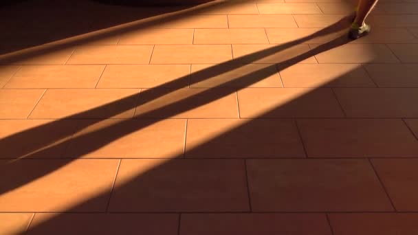 Multiple feet walking on brown sunlit floor. 4K shot — Stock Video