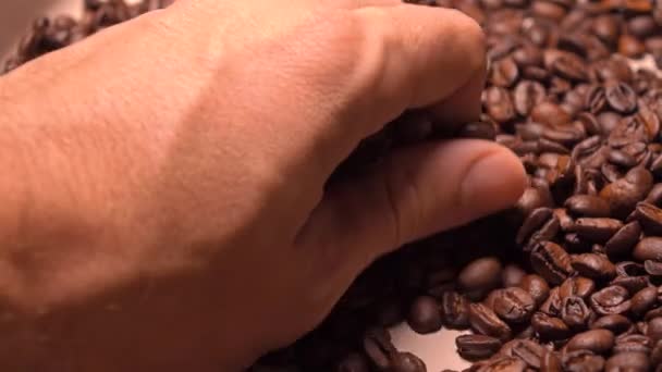 Мужчина собирает жареные кофейные зёрна руками, 4K выстрела — стоковое видео