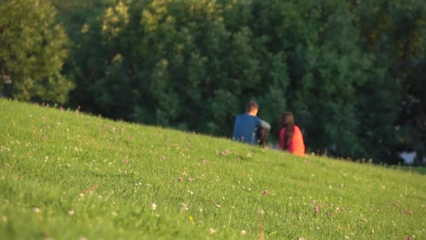 Coppia irriconoscibile in abiti blu e rossi che fa un picnic nel parco cittadino. 4K probabilità lunga — Video Stock