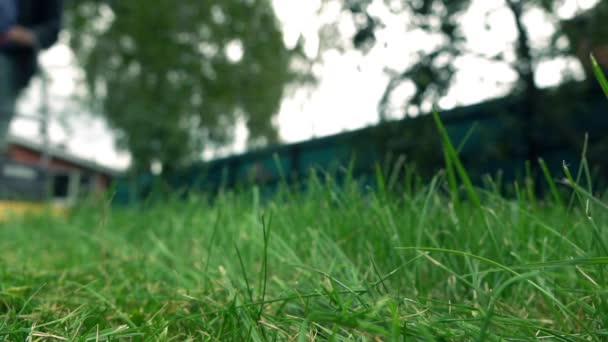 Herbe verte et homme avec tondeuse. Vue 4K à faible angle, plan au ralenti — Video