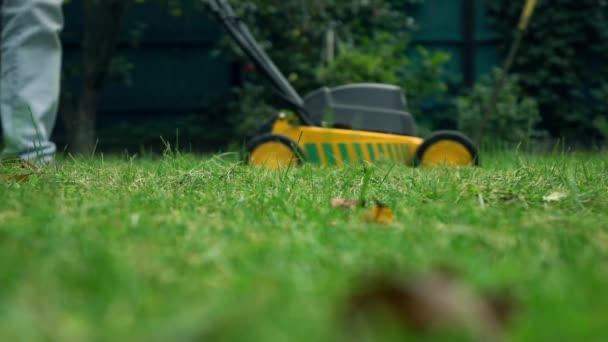 Grass and man with lawnmower. 4K low angle view slow motion shot — Stock Video