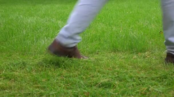 草和园丁与电动割草机。4 k 视频 — 图库视频影像