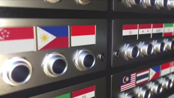 Steckverbindung in eine Steckdose mit irakischer Flagge einfügen. Übersetzung oder Online-Verbindungskonzept, 3D-Animation — Stockvideo
