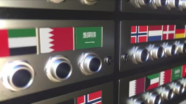 Вставка разъема в розетку с флагом Дании. Концепция перевода или онлайн соединения, 3D анимация — стоковое видео