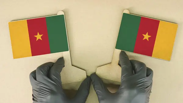 Kamerun zászlók újrahasznosított papírból a kartondobozon — Stock Fotó