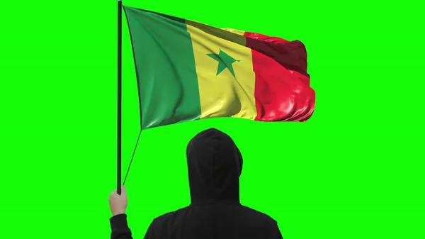Bandera ondeante de Senegal y hombre desconocido vestido de negro, aislado sobre fondo verde — Foto de Stock