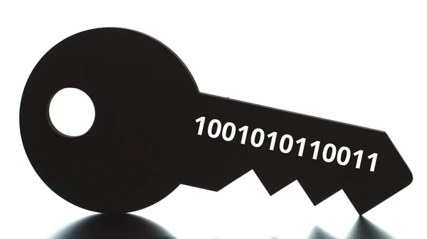 Binary code on the key silhouette — Stock Photo, Image