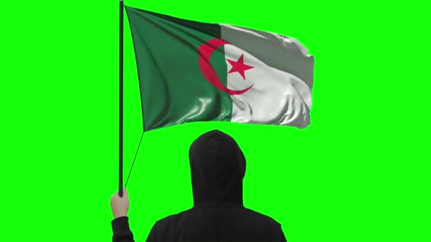 Неизвестный держит флаг Алжира, альфа-мат — стоковое видео