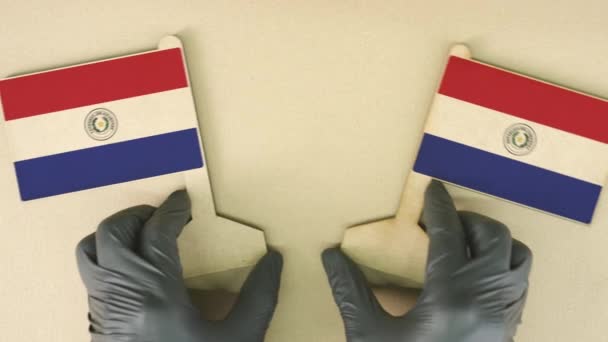 Flags of Paraguay made of cardboard on the desk — Stock Video