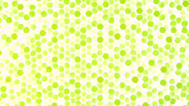 Clignotant vert motif de prismes hexagonaux, boucle abstraite mouvement arrière-plan — Video