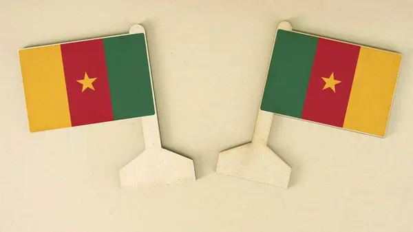 Kamerun zászlók újrahasznosított papírból a kartondobozon, lapos elrendezéssel — Stock Fotó