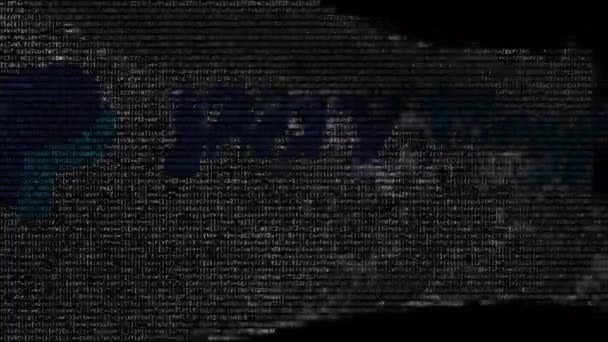 Bandiera digitale con logo Paypal sullo schermo. Animazione editoriale loop — Video Stock