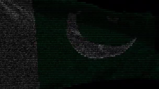 Флаг Пакистана сделан из компьютерного кода, зацикленной анимации — стоковое видео