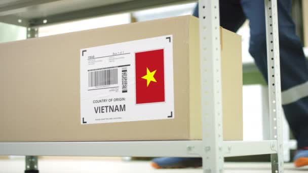 Caja con productos de Vietnam y empleados de almacenamiento — Vídeos de Stock