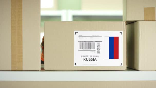 Balíček z Ruska ve skladu poštovních služeb — Stock video