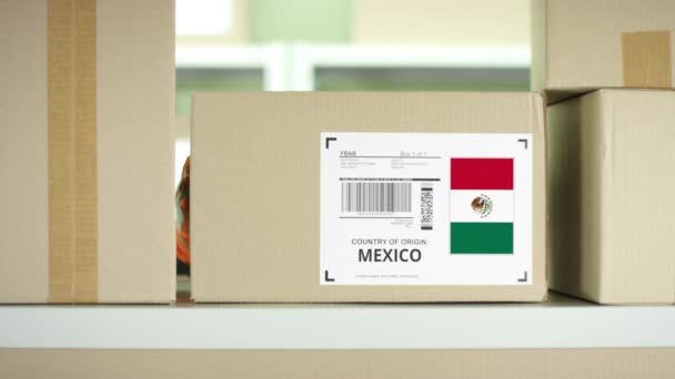 Trabajador se lleva una caja de México en el estante — Vídeos de Stock