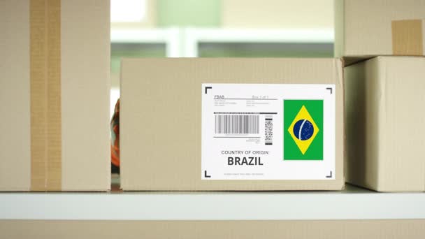 Pakket met producten uit Brazilië en postbeambte — Stockvideo