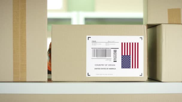 Paquete con productos de los Estados Unidos de América y trabajadores de servicios postales — Vídeos de Stock