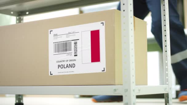 Caja con productos de Polonia y empleados de almacenamiento — Vídeos de Stock
