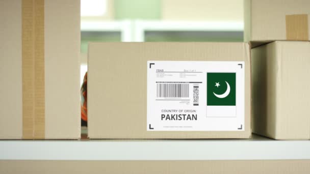 Parcela con productos de Pakistán — Vídeos de Stock