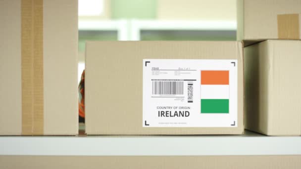 Paquete de cartón de Irlanda en un almacén de servicios postales — Vídeos de Stock