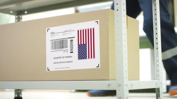 Kartong med produkter från Förenta staterna och lagringsanställd — Stockvideo