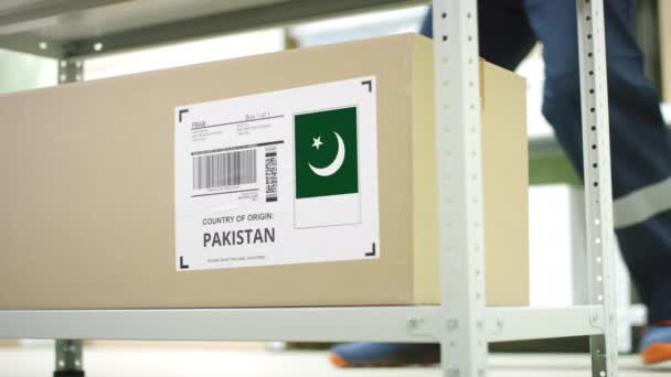 Kartong med produkter från Pakistan och lageranställd — Stockvideo