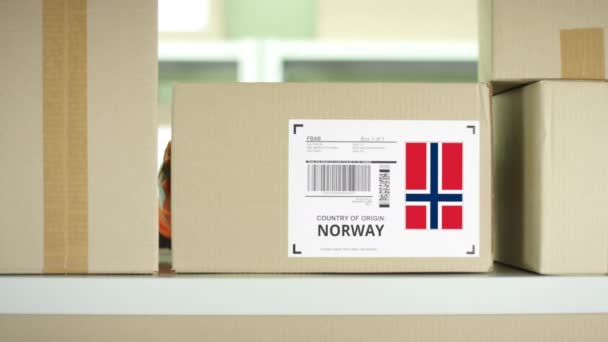 Pakket uit Noorwegen in een postopslag — Stockvideo
