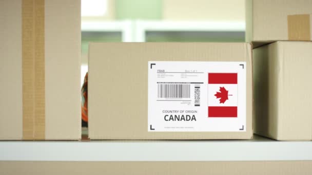 Scatola del servizio postale dal Canada — Video Stock