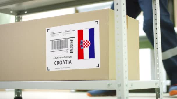 仓库员工从克罗地亚拿走了装有货物的纸盒 — 图库视频影像