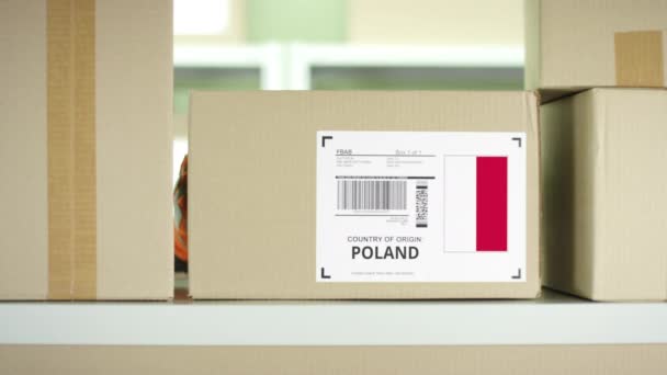 Parcela con productos de Polonia — Vídeos de Stock