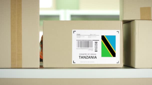Balíček s produkty z Tanzanie — Stock video