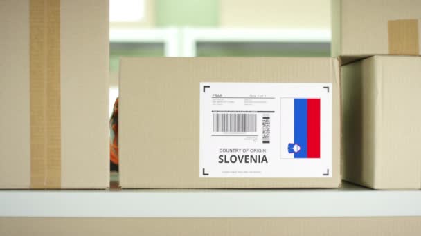 Pacchetto con prodotti provenienti dalla Slovenia — Video Stock