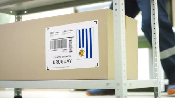 Caja de cartón con productos de Uruguay y empleado de almacenamiento — Vídeos de Stock