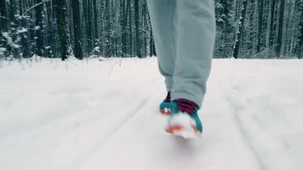 Hombre desconocido caminar a lo largo de camino cubierto de nieve bosque, steadicam primer plano disparo — Vídeos de Stock