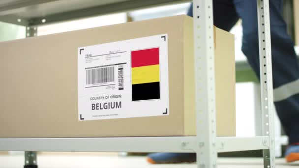 Lagringspersonal tar bort en kartong med varor från Belgien — Stockvideo