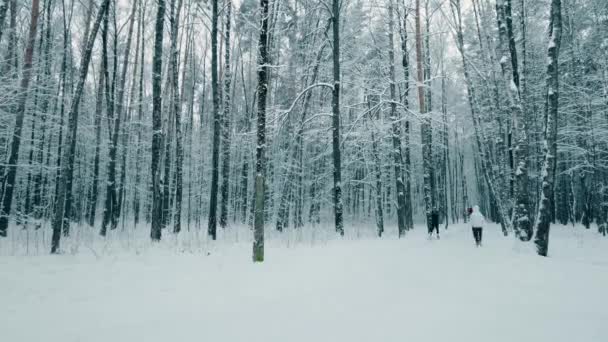Az emberek sétálnak és síelnek a havas parkban, időeltolódás — Stock videók