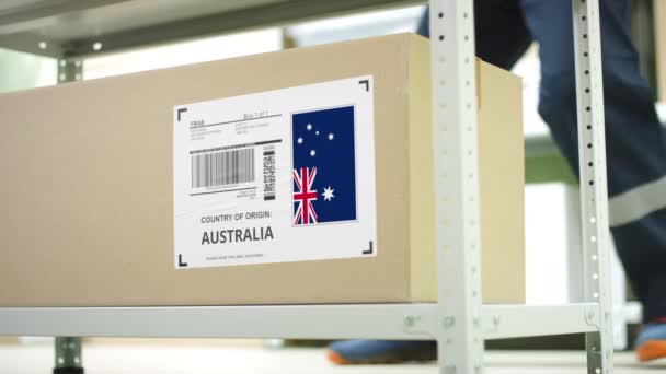 Trabajador se lleva un cartón con mercancías de Australia en el estante — Vídeos de Stock