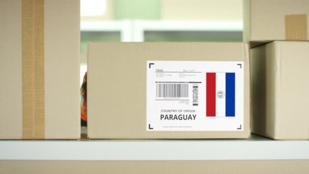 Balíček s produkty z Paraguaye — Stock video