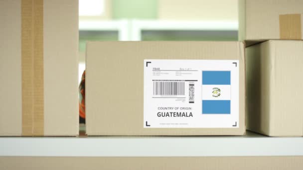 Balíček s produkty z Guatemaly — Stock video