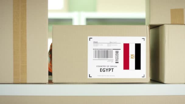 Pakket uit Egypte in een postdienst opslag — Stockvideo