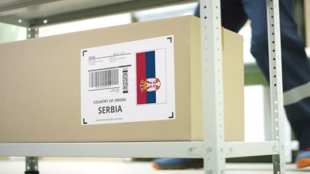 Caja de cartón con productos de Serbia y empleado de almacenamiento — Vídeo de stock