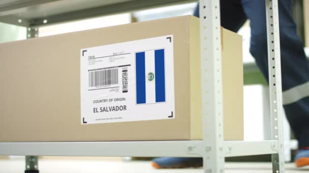 Funcionário de armazenamento tira uma caixa com mercadorias de El Salvador — Vídeo de Stock