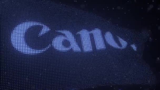 Waving digital flag with CANON company logo, looping 3d animation — 비디오