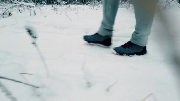 Walking along snowy path in the woods, steadicam close-up shot — Vídeos de Stock